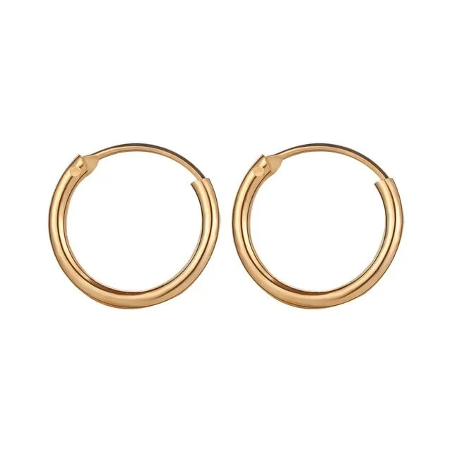 Korean Simple Round Zirconia Hoop Earrings