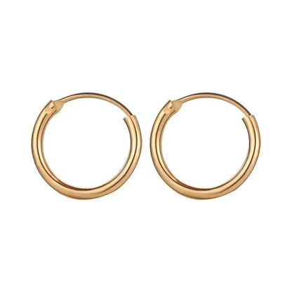 Korean Simple Round Zirconia Hoop Earrings